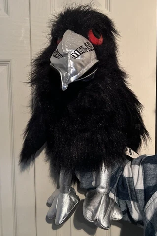 Dirty Bird Puppet Atlanta Falcons Mascot Plush NFL 1999 Stuffed Animal RARE NWT Cover