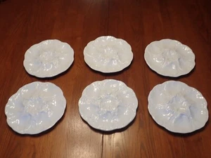 Williams Sonoma White Star Oyster Plates, 6x Plates, All Very Nice - Picture 1 of 20