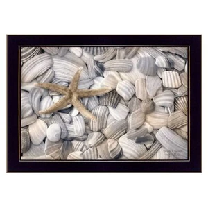 Starfish and Seashell 1 Black Framed Print Wall Art - Picture 1 of 1