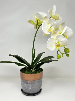 17" Lg белый фаленопсис орхидея шелковый цветок растение, 5" меди металлический горшок, han - Изображение 1 из 4