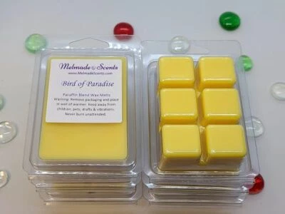 3oz Clamshell Wax Melts  - Floral & Fresh Scents - FREE SHIPPING - Image 1 of 4