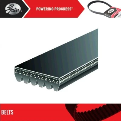 Gates Hub and Alternator Belt For 1999-2000 STERLING TRUCK LT9522 L6-12.7L - Image 1 of 4