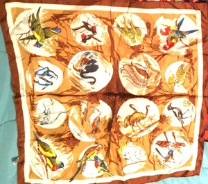 Splendida stampa Neil uccellino d'autore di uccellini australiani made in Japan - Foto 1 di 4