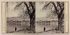 SUISSE Panorama de Vevey c1860 Photo Stereo Adolphe Braun Vintage Albumine 