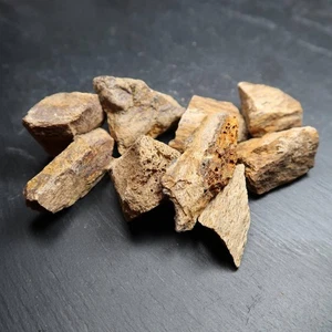 Woolly Mammoth Bone Fragments | Pleistocene | North Sea / Dogger Bank - Picture 1 of 8