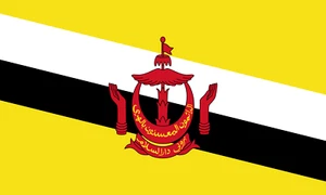 Bandera de Brunei 90x150cm o 60x90cm/3x5ft o 2x3ft - Imagen 1 de 6