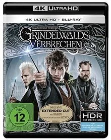 Phantastische Tierwesen: Grindelwalds Verbrechen (Ki... | DVD | Zustand sehr gut - Bild 1 von 2