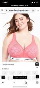 Cacique BH leicht gefüttert ohne Bügel rosa Spitze Baumwolle vollflächig Lane Bryant 48D - Bild 1 von 14