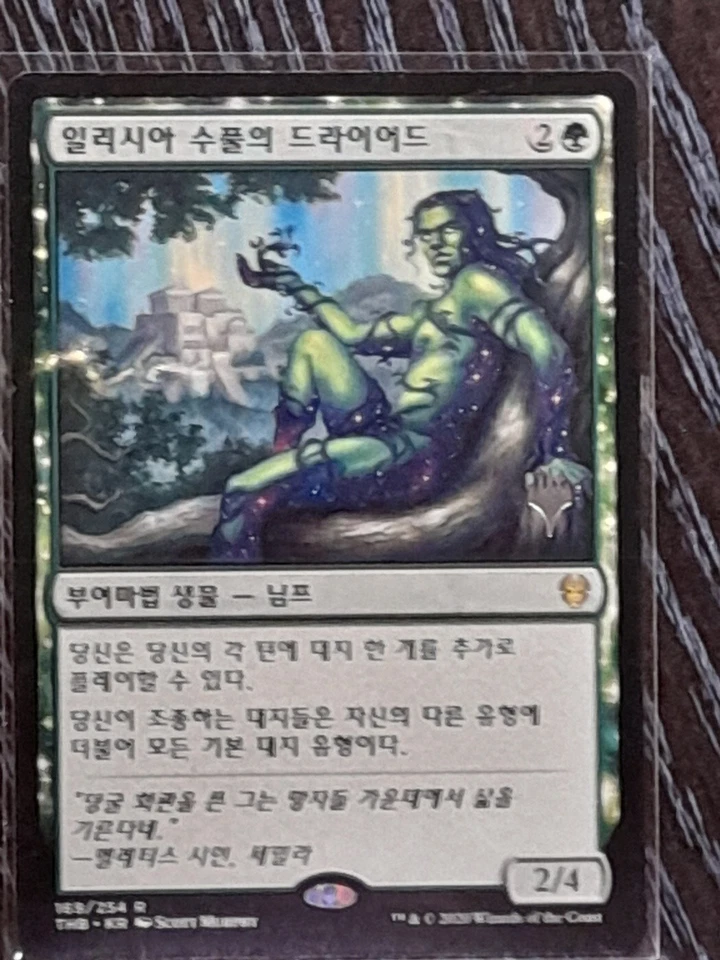 (Promo Pack)[NM] MTG Korean, Theros Beyond Death, 1 x Dryad of the Ilysian Grove - Image 1 of 1