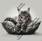 Original Digital Art Image Feline Cat Kitten Kitty Wallpaper Artwork Mainecoon 