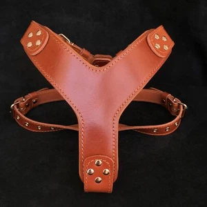 Arnés de cuero para perro Bestia ''Style''. 100% cuero. hecho a mano. mejor calidad - Imagen 1 de 7