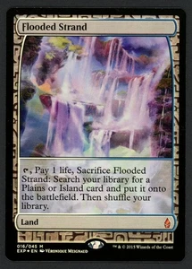 ***FOIL Flooded Strand Expedition*** MTG Zendikar Magic Kid Icarus - Picture 1 of 2