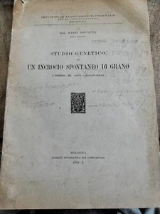 Studio genetico di un incrocio spontaneo di grano Dott. Mario Bonvicini 1932 - Picture 1 of 2