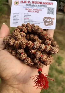 LAB CERTIFIED Rare 9 Mukhi RUDRAKSHA Rudraksh Mala ROSARY 108+1 Prayer Beads - Picture 1 of 8