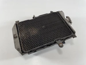 Suzuki AN 650 Burgman 2011 - radiador de agua radiador ventilador - Imagen 1 de 11