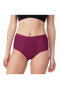 Love Luna Period Full Brief Plum (1pcs) - Picture 1 of 5