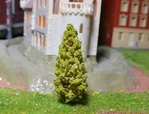 50 Dark Yellow Green Firs, Conifers, 58 mm High - Picture 1 of 12