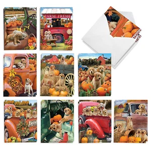 20 Assorted Halloween Notes w/ Envelopes (10 Designs, 2 Each) Pumpkin Puppies - Picture 1 of 6