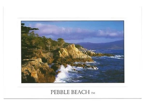 Postcard Pebble Beach California The Lone Cypress - Picture 1 of 2