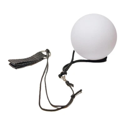 LED Poi Ball Fitness Ball Hand Throwing Ball Backyard Game for Belly Dance Party - Bild 1 von 4