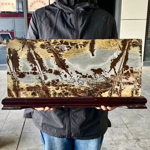 27.5LB Beautiful Natural Chinese Dendritic Limestone Picture Stone Guohua - Rare - Picture 1 of 10