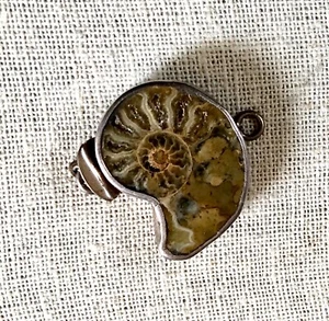 Natural Gemstone Large Brown Ammonite Fossil .925 SS Single Strand Box Clasp - Picture 1 of 3