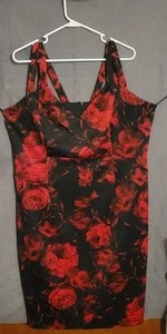 Enfocus Womens Plus Size ROSE Dress Size 18w NWT - Picture 1 of 5