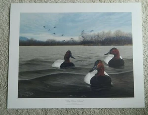 2007- 2008 Iowa Ducks Unlimited Print of the Year DU Kreig Jacque T - Bild 1 von 2