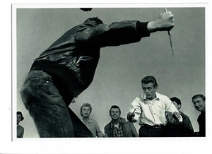 James Dean Postcard 10,5 X 15 CM La Bagarre Editions Spk. France Réf. 237 - Picture 1 of 2