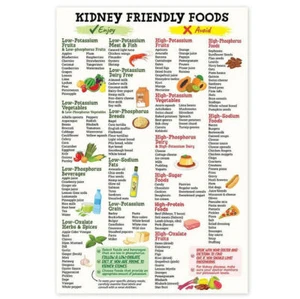 Kidney Friendly Food List Poster,Unframed Kidney Awareness Kidney Diet List - Picture 1 of 13