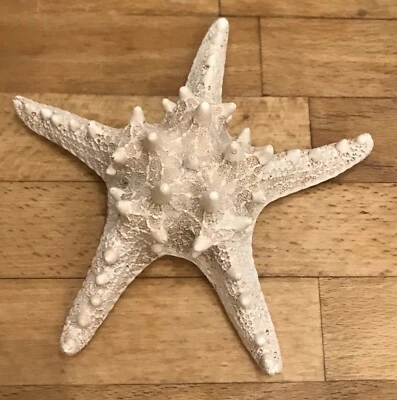 Latex mould for making this lifelike Starfish - Image 1 of 2