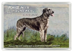 IRISCHER WOLFHUND HUND FUTTER WERBUNG KUNSTDRUCK NEUHEIT ACRYL KÜHLSCHRANKMAGNET GESCHENK - Bild 1 von 1