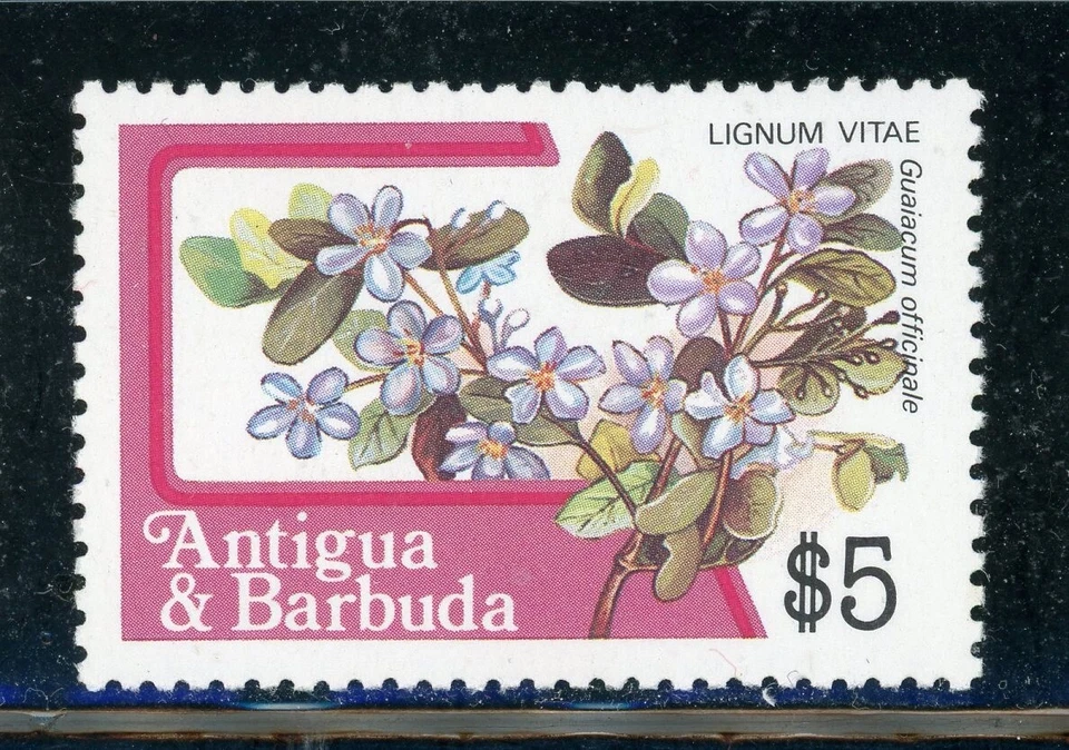 ANTIGUA & BARBUDA 724a SG809B MNH 1983 $5 Definitive Lignum Vitae Perf 12 CV$7 - Image 1 of 1