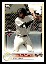 2022 Topps Pro Debut PD-74 Adrian Del Castillo Visalia Rawhide Baseball Card