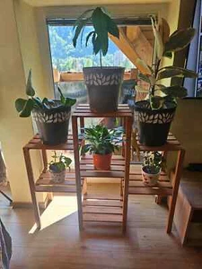 Portavaso per piante da giardino ripiani porta fiori interno/esterno espositore decorazione - Foto 1 di 9