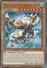 1X Moulinglacia The Elemental Lord - Sdfc-En025 - Common - 1St Edition - Struct