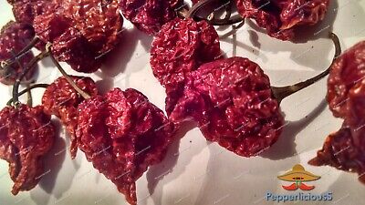 4 DRIED CAROLINA REAPER Pods -- WORLDS HOTTES...