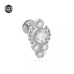 Titanium Labret internal thread Clear Gem flower Tragus Helix Cartilage Stud - Picture 1 of 10