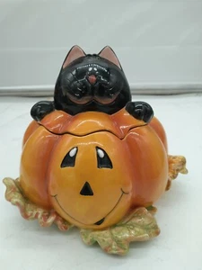 Barattolo zucca e gatto magenta - Foto 1 di 3