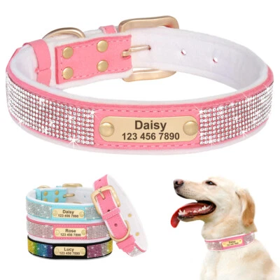Collar acolchado de gamuza con estrás personalizado para perro mascota gato cachorro nombre identificación collar Foto 1 de 4