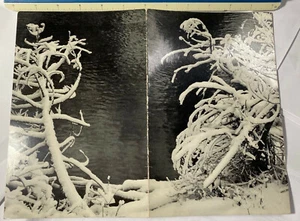 MENÚ GRANDE YOSEMITE AHWAHNEE 1948 BRACEBRIDGE CENA DE NAVIDAD 12""x8"" RARO - Imagen 1 de 2