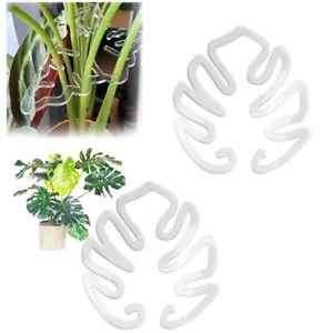 Soporte de tallo de planta reutilizable soporte de vid para MonsteraStrelitziaceae - Imagen 1 de 12