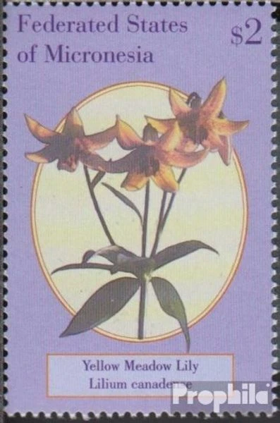Micronesia 1031 como nuevo/MNH 2000 flor silvestre Foto 1 de 1