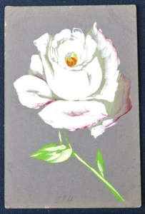 ¿Postal blanca rosa pintada a mano? Circa 1910 sin usar - Imagen 1 de 1