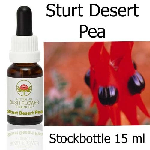 STURT DESERT PEA Australian Bush Flower Essences Stockbottels