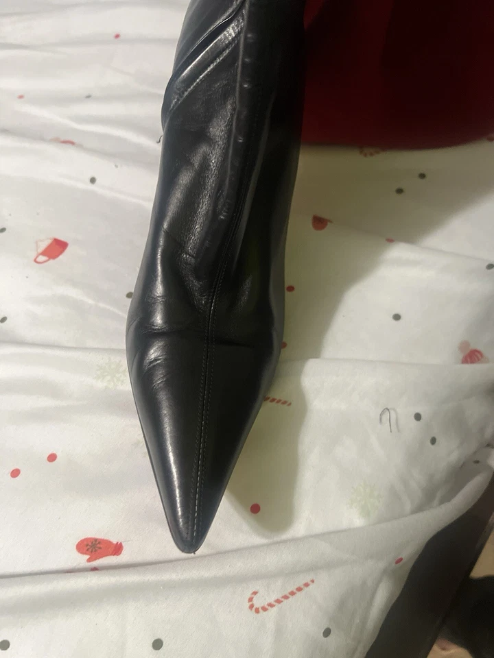 Christian Louboutin Eloise Botta Pointed Toe Knee High Boot - Image 1 of 3