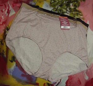 3 NEW OLGA/WARNERS GS3973O 017 PLUS SIZE NO MUFFIN TOP BRIEF PANTIES 3XL/10 - Picture 1 of 2
