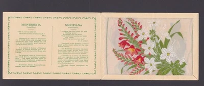 Postcard Silk KENSITAS FLOWERS (Printed Back) Wix Nicotiana Montbretia Cat £50 - Image 1 of 2