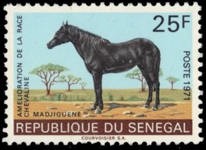 SENEGAL 338 - Horse Breeding "Mare Mbayang" (pb56657) - Picture 1 of 1