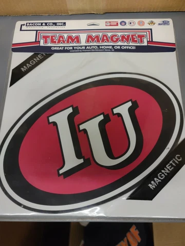 Officially Licensed NCAA Indiana Hoosiers Large 12" Team Logo Car MAGNET Cover